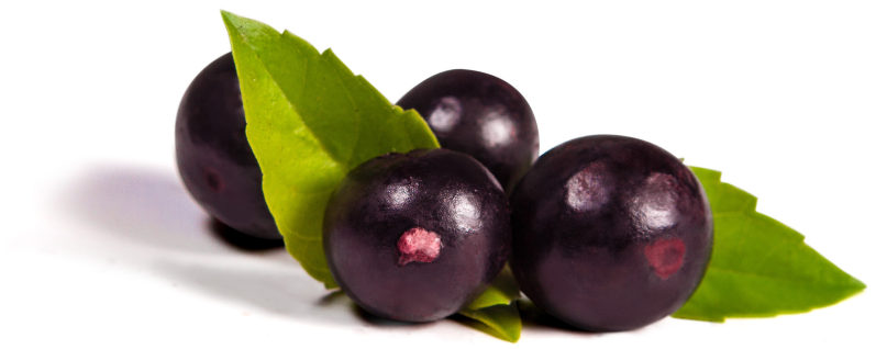 Acai-plod (1200 x 628 px)_1